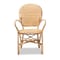 Baxton Studio Genna Modern Bohemian Natural Brown Finished Rattan Dining Chair 205-12675 - alternate 3